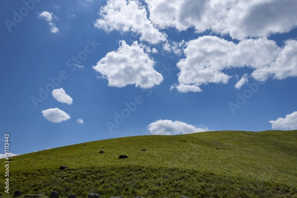 Obraz 快晴のビーナスライン