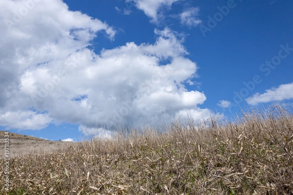 Obraz 快晴のビーナスライン