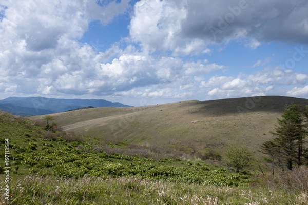 Obraz 快晴のビーナスライン