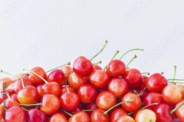 Obraz さくらんぼ