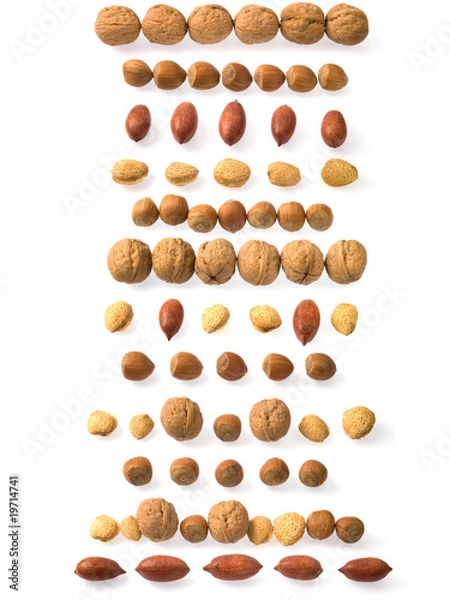 Obraz Nuts strips