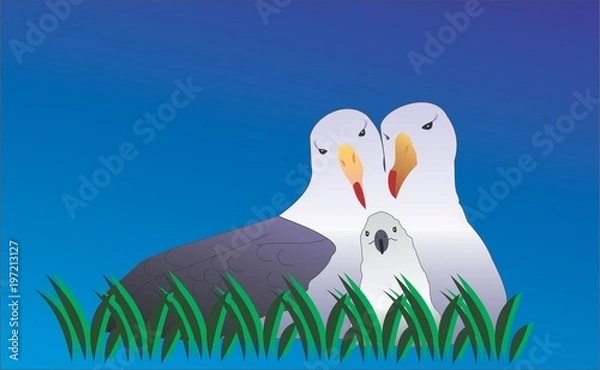 Obraz seagull family