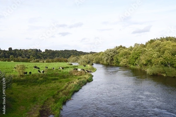 Obraz Pastoral River