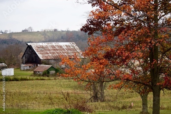 Obraz Autumn Farm