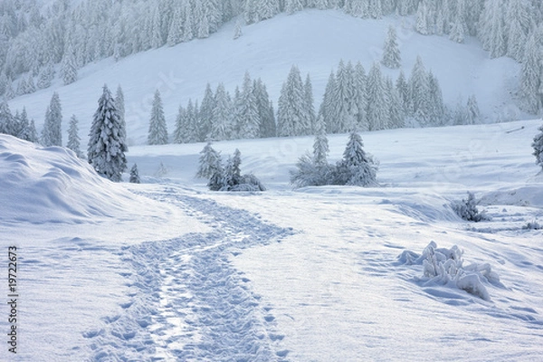 Obraz spuren im schnee