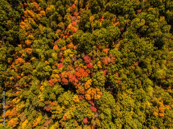 Obraz Fall in Tennesse