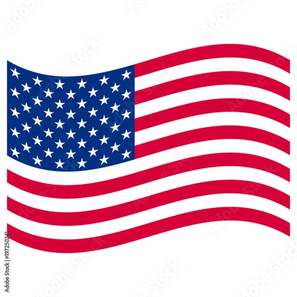 Obraz American Flag on white