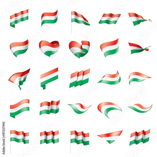 Obraz Hungary flag, vector illustration