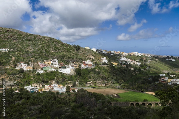 Obraz Botanical Garden “Jardín Botánico Canario Viera y Clavijo” near Las Palmas Gran Canaria.