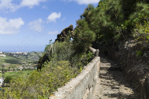 Obraz Botanical Garden “Jardín Botánico Canario Viera y Clavijo” near Las Palmas Gran Canaria.