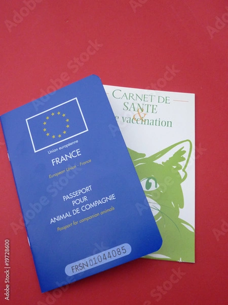 Obraz carnet et passeport