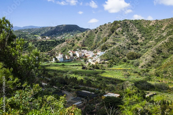 Obraz Botanical Garden “Jardín Botánico Canario Viera y Clavijo” near Las Palmas Gran Canaria.