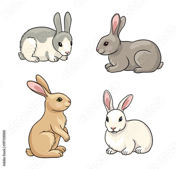 Fototapeta Set of Rabbits - vector illustration