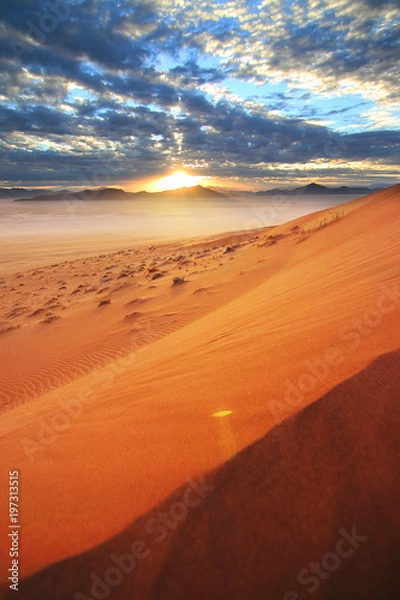 Fototapeta Sunrise in desert