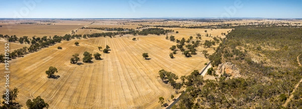 Fototapeta Aerial view of the wheat field near mount Arapiles. Mitre rock is visible on the left hand side. 