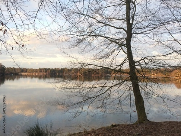 Fototapeta See in Belgien