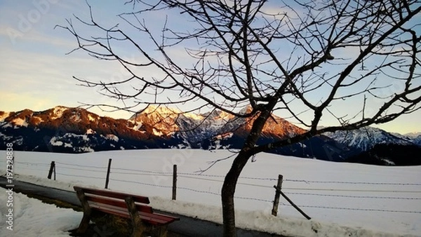 Obraz Schneebedeckte Landschaft