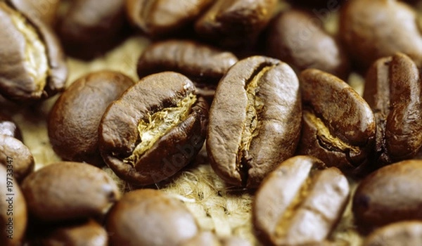 Fototapeta kaffee bohne