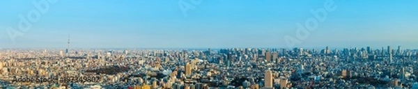 Fototapeta 東京のパノラマ