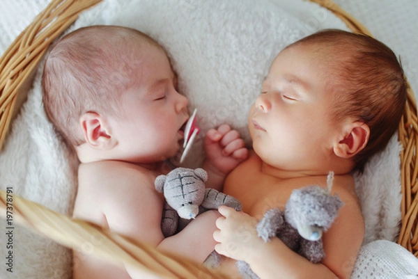 Obraz newborn twins are sleeping
