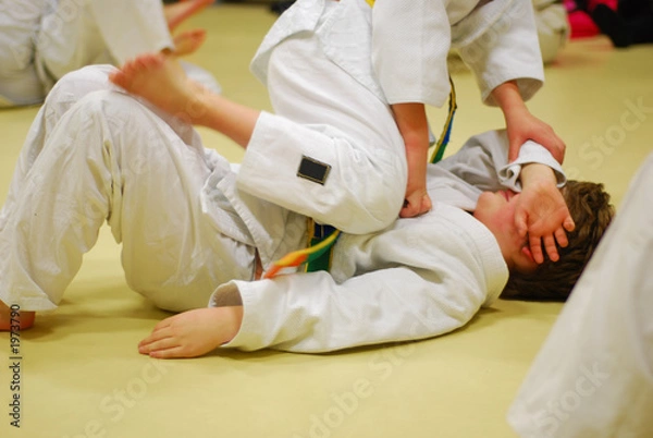 Obraz martial art exam