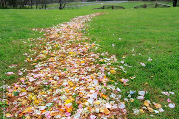 Obraz Flower Petal Path