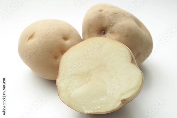 Obraz ジャガイモ　男爵