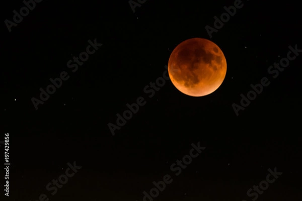 Fototapeta Blood Moon Space Lunar Eclipse
