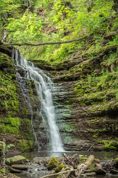 Fototapeta Beatiful waterfall in spring forest. Carpathian, Ukraine.