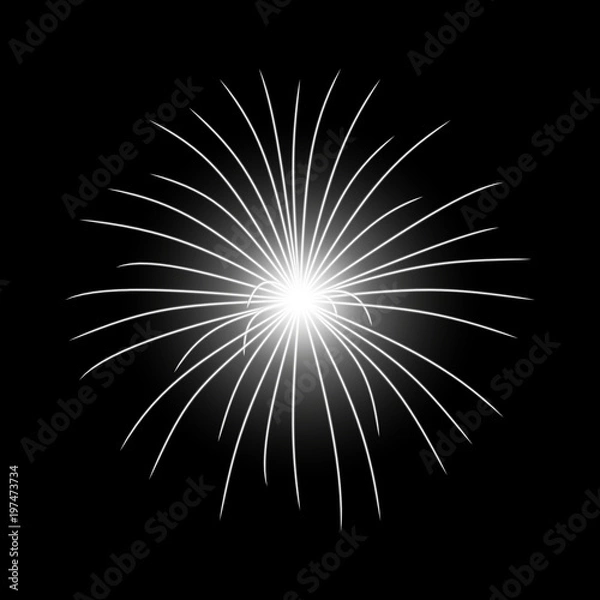 Fototapeta Vector festive firework, burst, white color