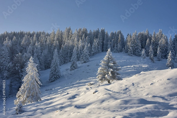 Obraz winterlandschaft