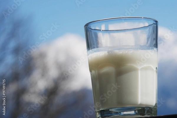 Obraz Mleko górskie