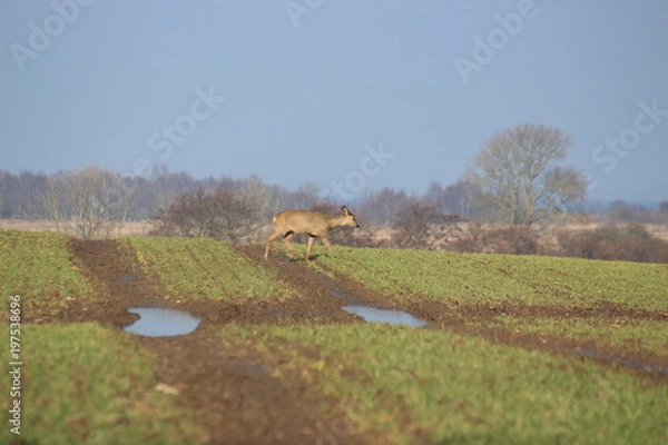 Obraz Ich geh dann mal