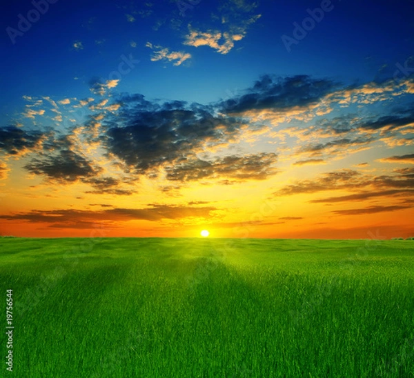 Obraz summer landscape on a background beautiful sunset