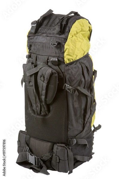 Fototapeta large backpack, combined color, filled, standing back side, on white background