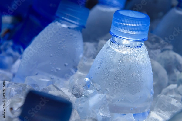 Fototapeta water bottle in ice,fresh water