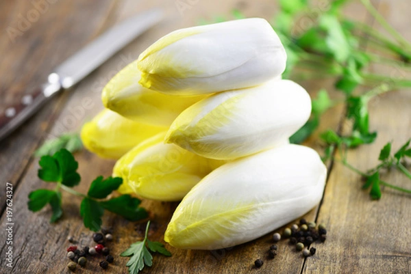 Obraz Ziołowa cykoria