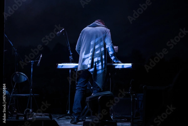 Obraz Male musician plays a musical instrument on the stage. Artist playing on the keyboard synthesizer piano keys. Live concert of electronic music at night in summer festival. Colorful, abstract lights.