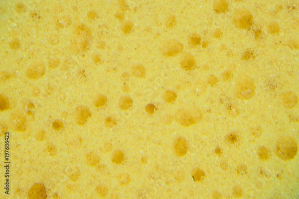Fototapeta Yellow sponge texture background