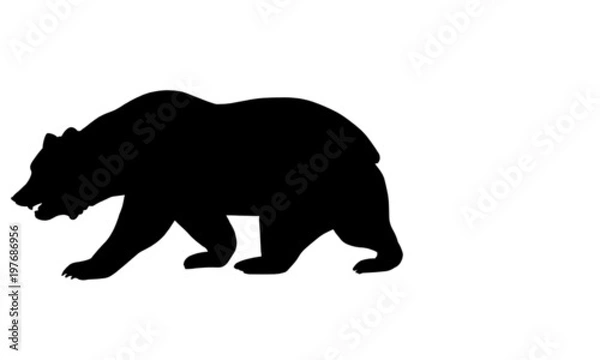 Obraz California Bear