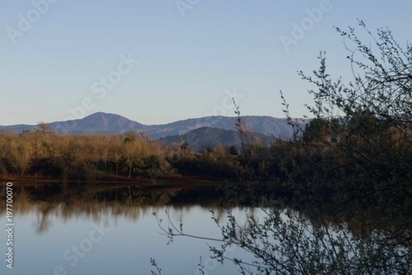 Obraz Riverfront Regional Park - Located along the Russian River, Riverfront Regional Park is just minutes from downtown Windsor and Healdsburg and surrounded by classic Wine Country scenery. Spring. 