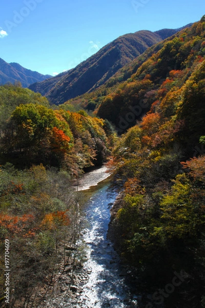 Obraz 秋の西沢渓谷