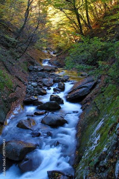 Obraz 秋の西沢渓谷