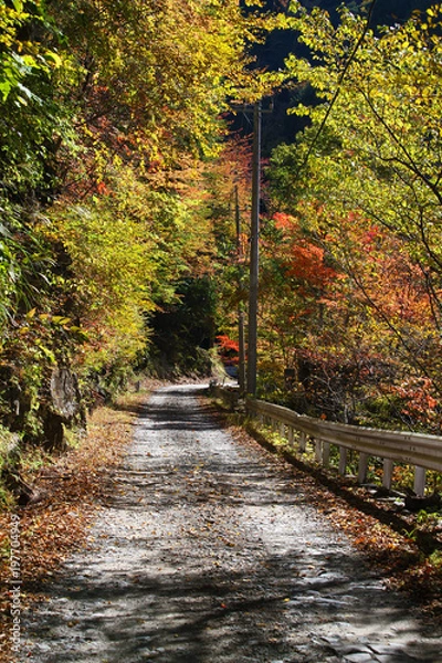 Obraz 中津川渓谷の秋