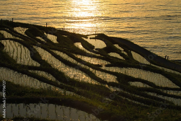 Obraz 落陽の白米千枚田