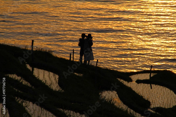 Obraz 落陽の白米千枚田