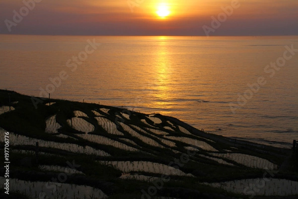 Obraz 落陽の白米千枚田