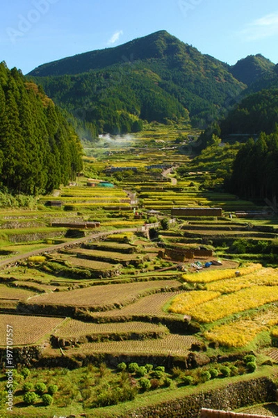 Obraz 四谷千枚田