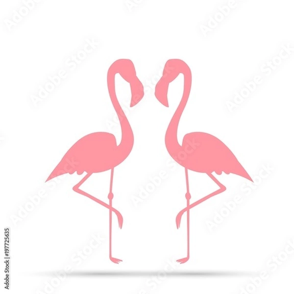 Fototapeta Pink flamingo on a white background.