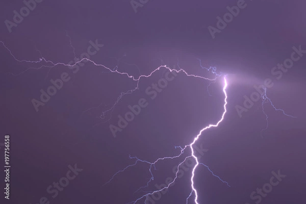 Fototapeta 稲妻